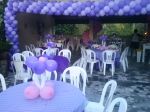 Festa Violeta