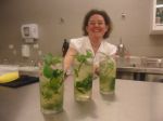 Preparemos diversos drinks como Mojito