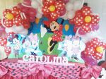 decorao minnie