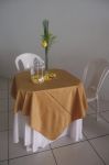 Bodas de Ouro