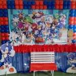 Decorao Sonic 
Com Tela de bales