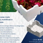 Caixa de EPS, para armazenamento de frutas
Tamanhos