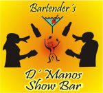 Vinhas Som e Luz - Bartender